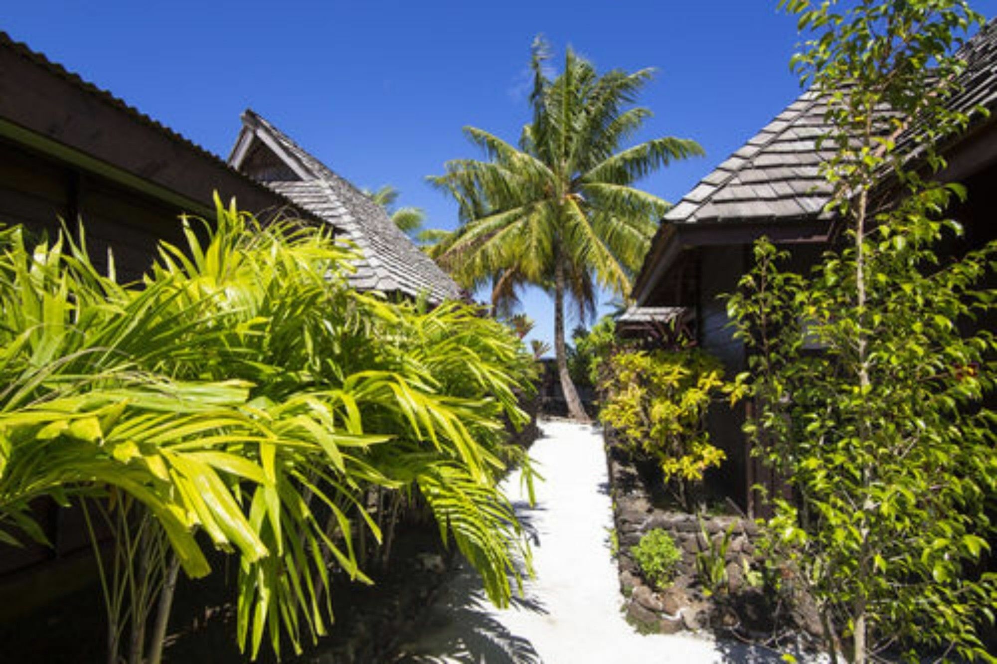 Oa Oa Lodge Bora Bora Kültér fotó