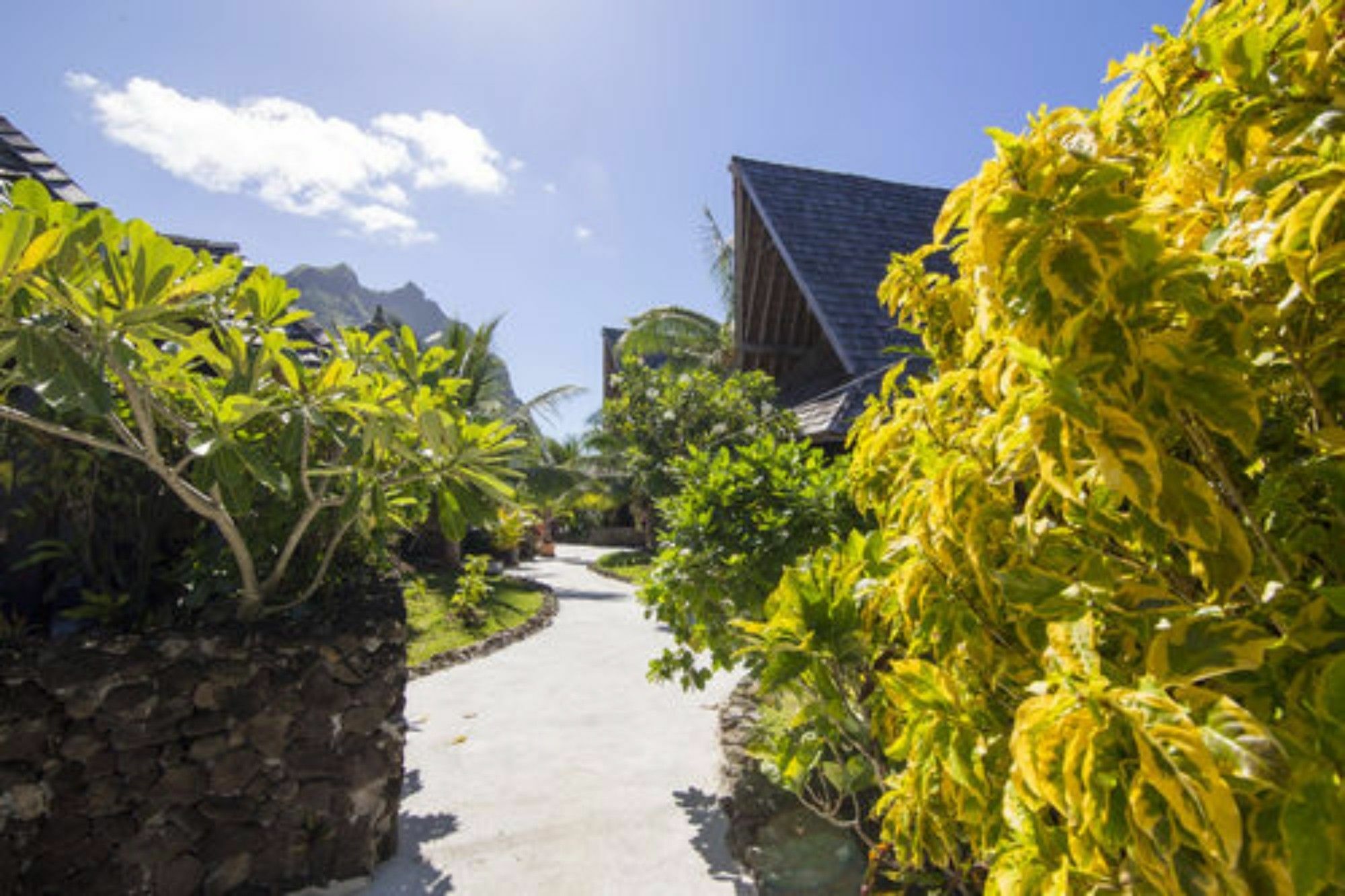 Oa Oa Lodge Bora Bora Kültér fotó