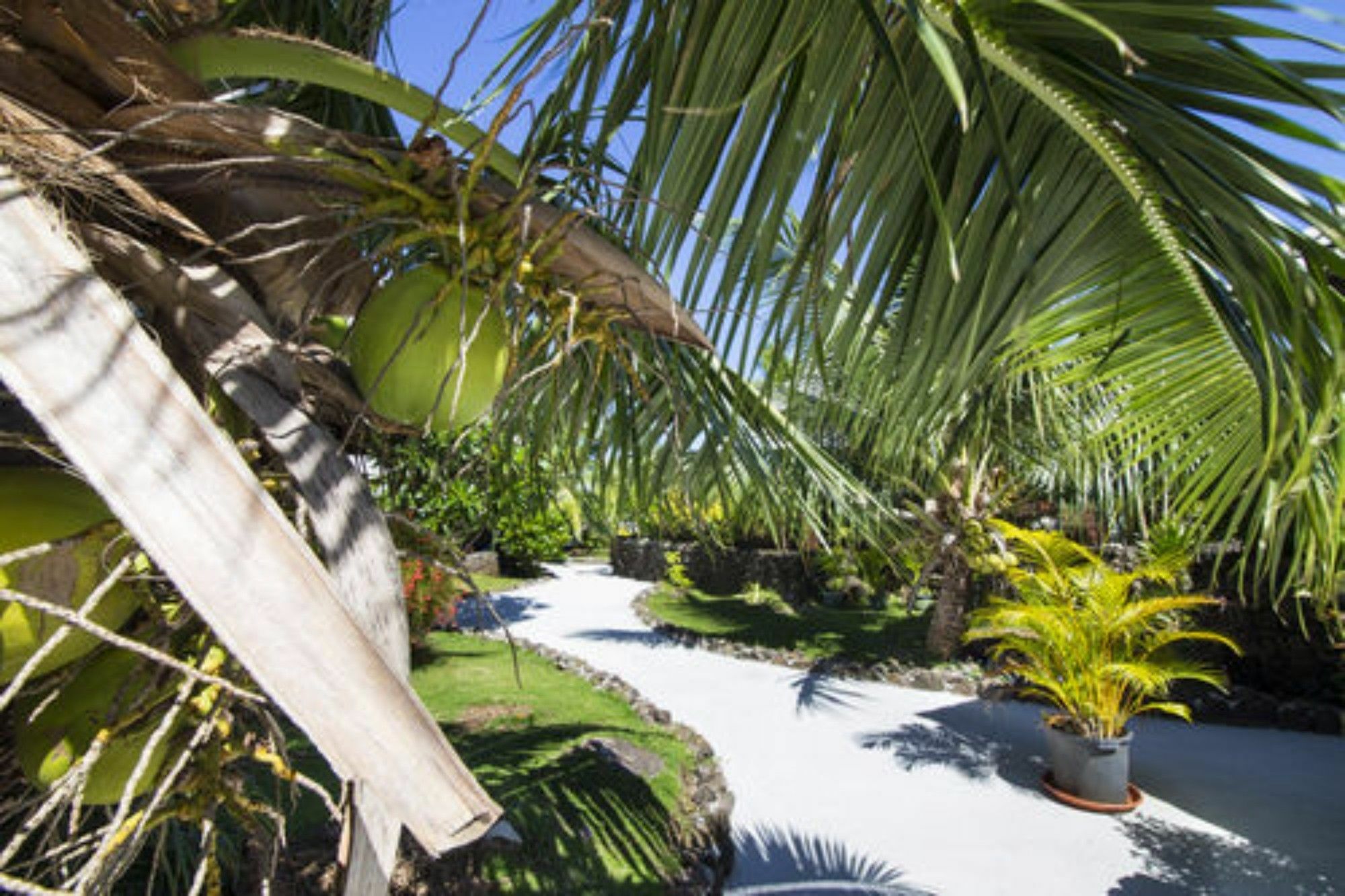 Oa Oa Lodge Bora Bora Kültér fotó